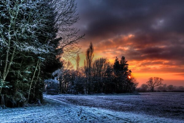 Winterwald vor dem Hintergrund eines mysteriösen Sonnenuntergangs