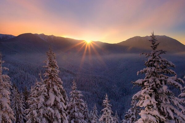Zachód Słońca w zimowym lesie