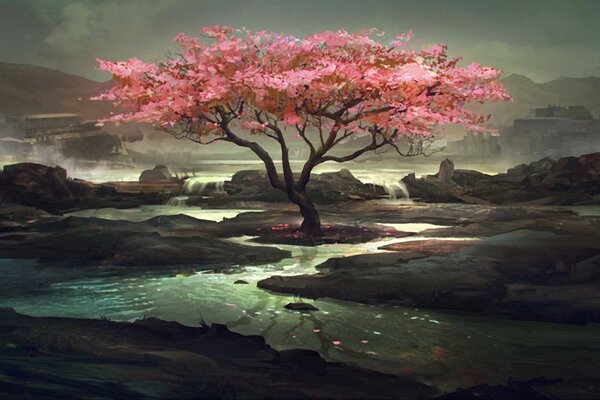 Sakura tree in extraordinary waters