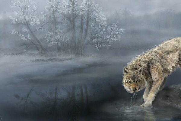 Drawing of a wolf in winter in nature