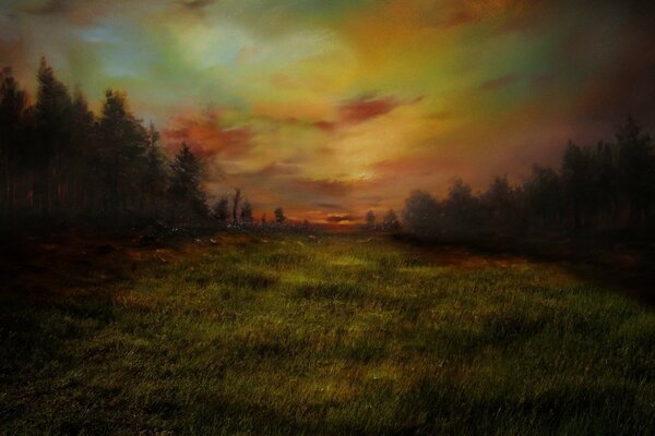 Sunset landscape, clearing in the forest