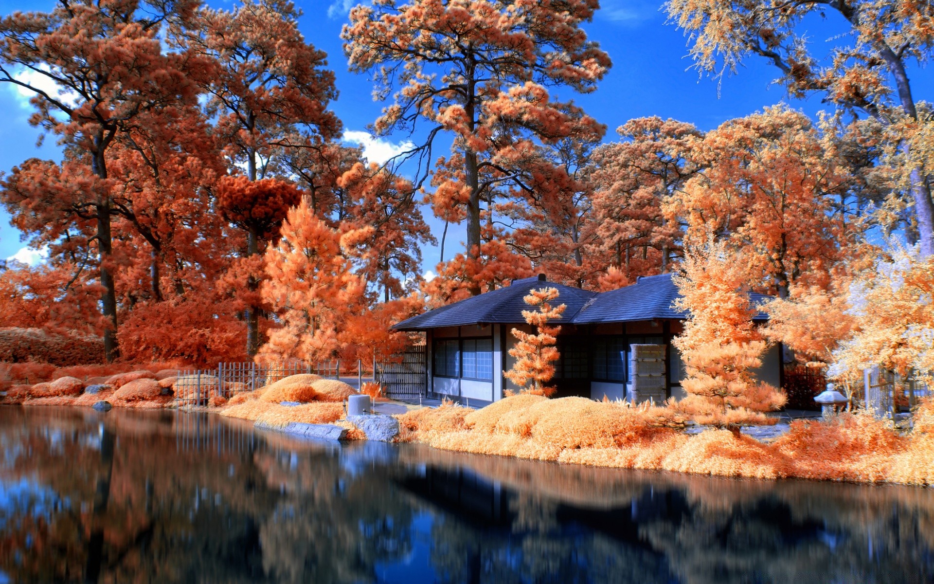 kreativ holz holz natur landschaft im freien herbst park landschaftlich wasser saison himmel reisen