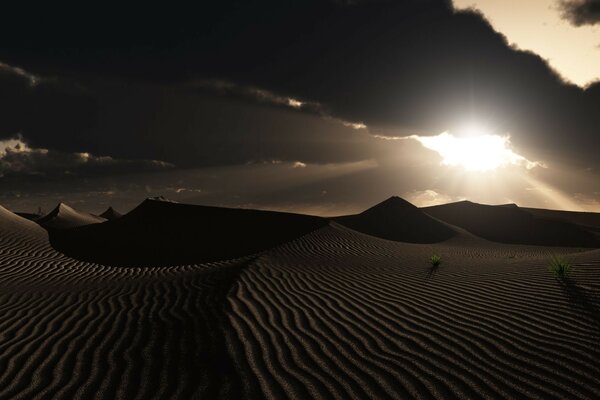 Desert landscape at sunset. Dunes in the last rays of the sun