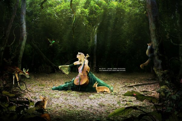 The cello girl tames forest dwellers