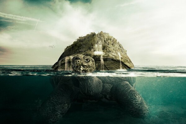 Creative drawing of a turtle in the form of an island