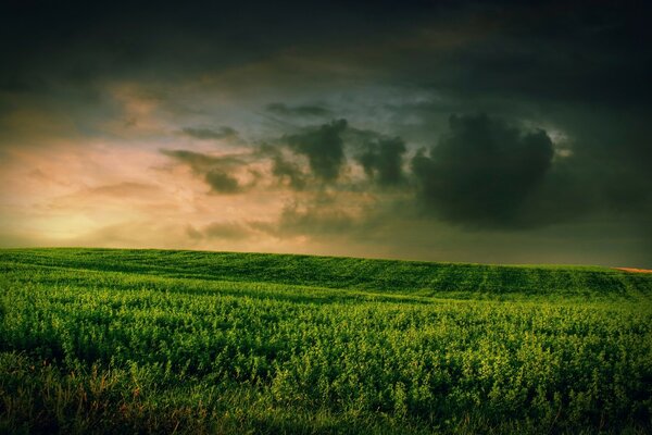 A agricultura parece bonita (se na foto). Céu, distância, natureza