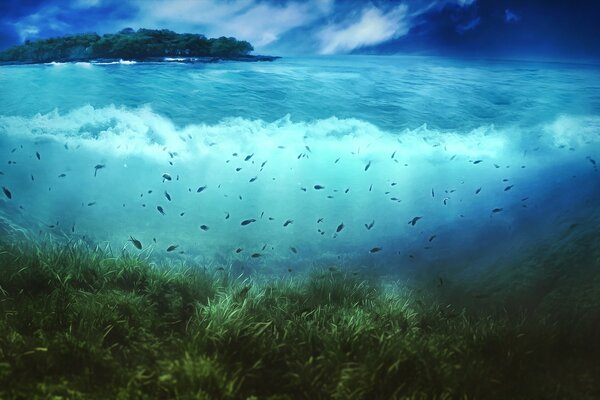 Vista subaquática da água do oceano