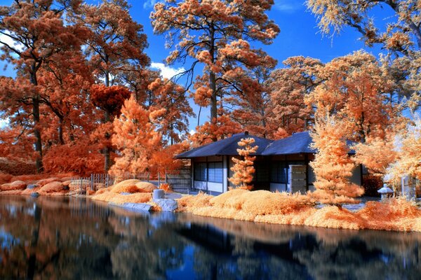 Paisagem do Outono dourado. Casa na floresta