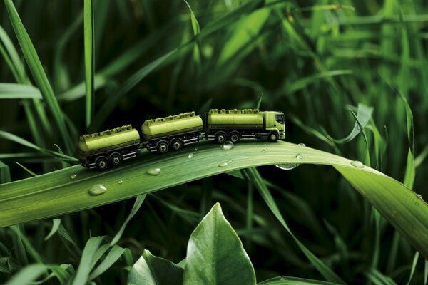 The caterpillar is a heavy truck on a leafy road