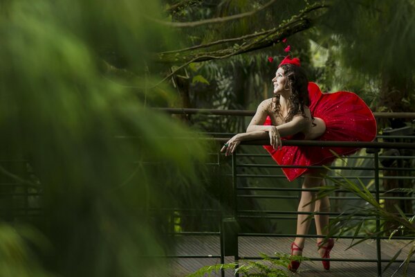 Une fille dans une robe rouge intéressante est heureuse de marcher dans la forêt tropicale