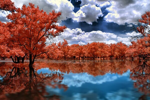 Paisaje de otoño de bardos en el agua