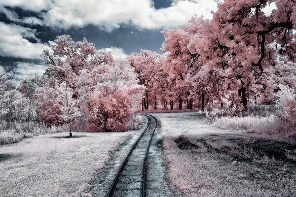 Eine märchenhafte Straße inmitten von rosa Bäumen