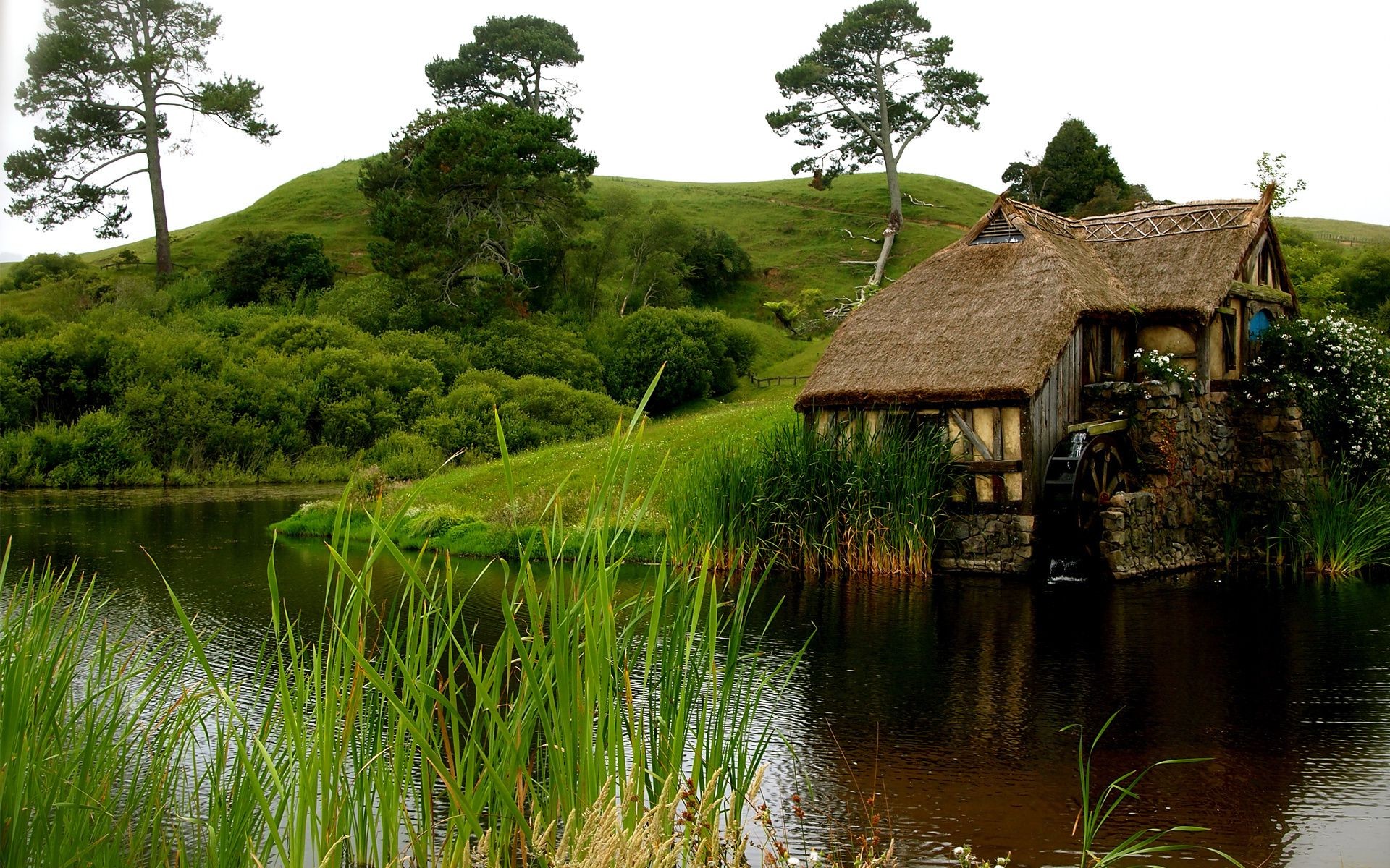 ríos estanques y arroyos estanques y arroyos agua casa naturaleza lago madera río paisaje hierba viajes cabaña rural bungalow reflexión piscina madera tradicional madera país verano