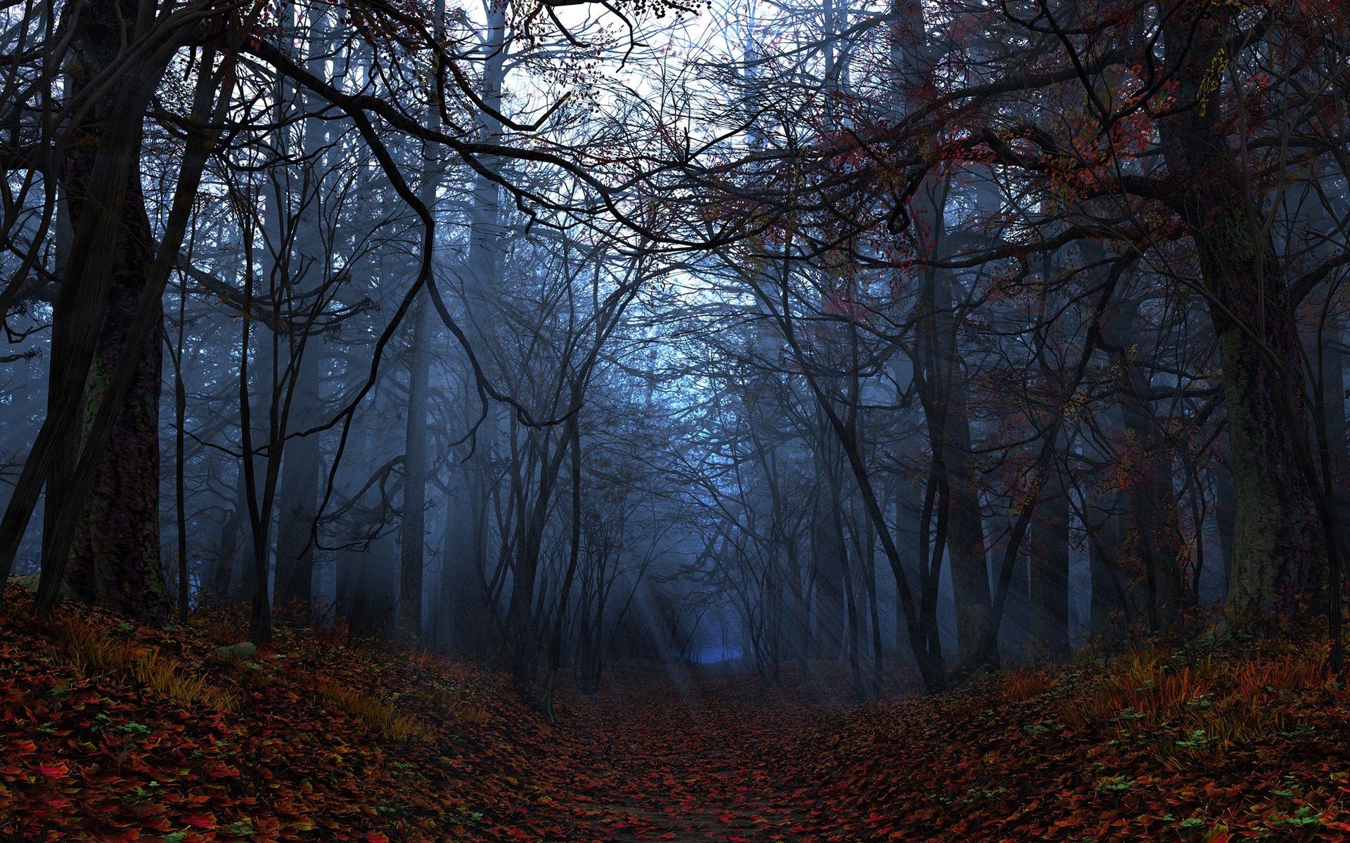 autumn tree fall landscape fog wood dawn mist park branch leaf light backlit weather nature scenic winter environment fair weather season