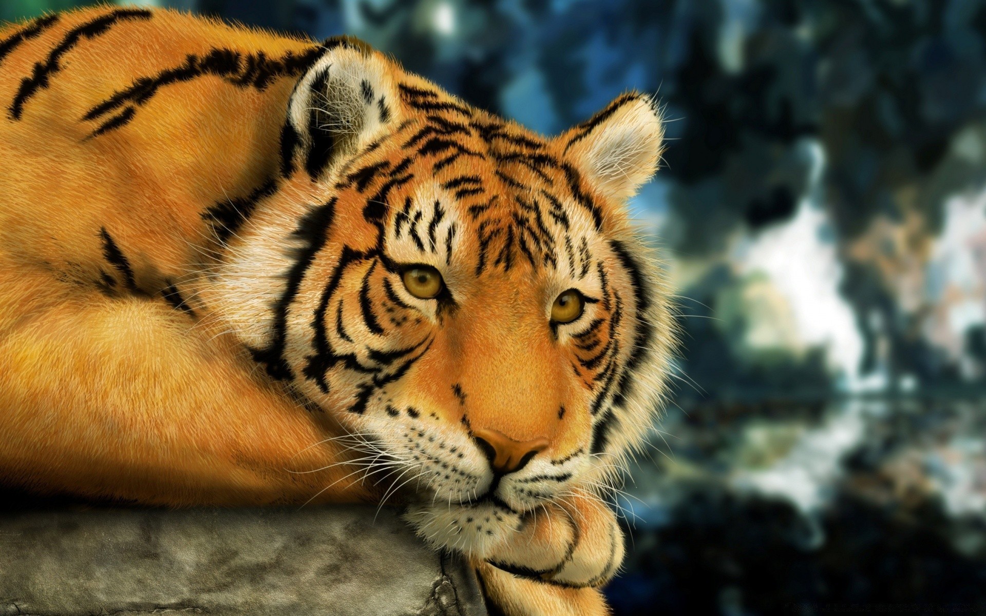 disegni tigre fauna selvatica gatto mammifero animale predatore zoo striscia pericolo cacciatore aggressione ritratto selvaggio natura giungla occhio pelliccia guardando