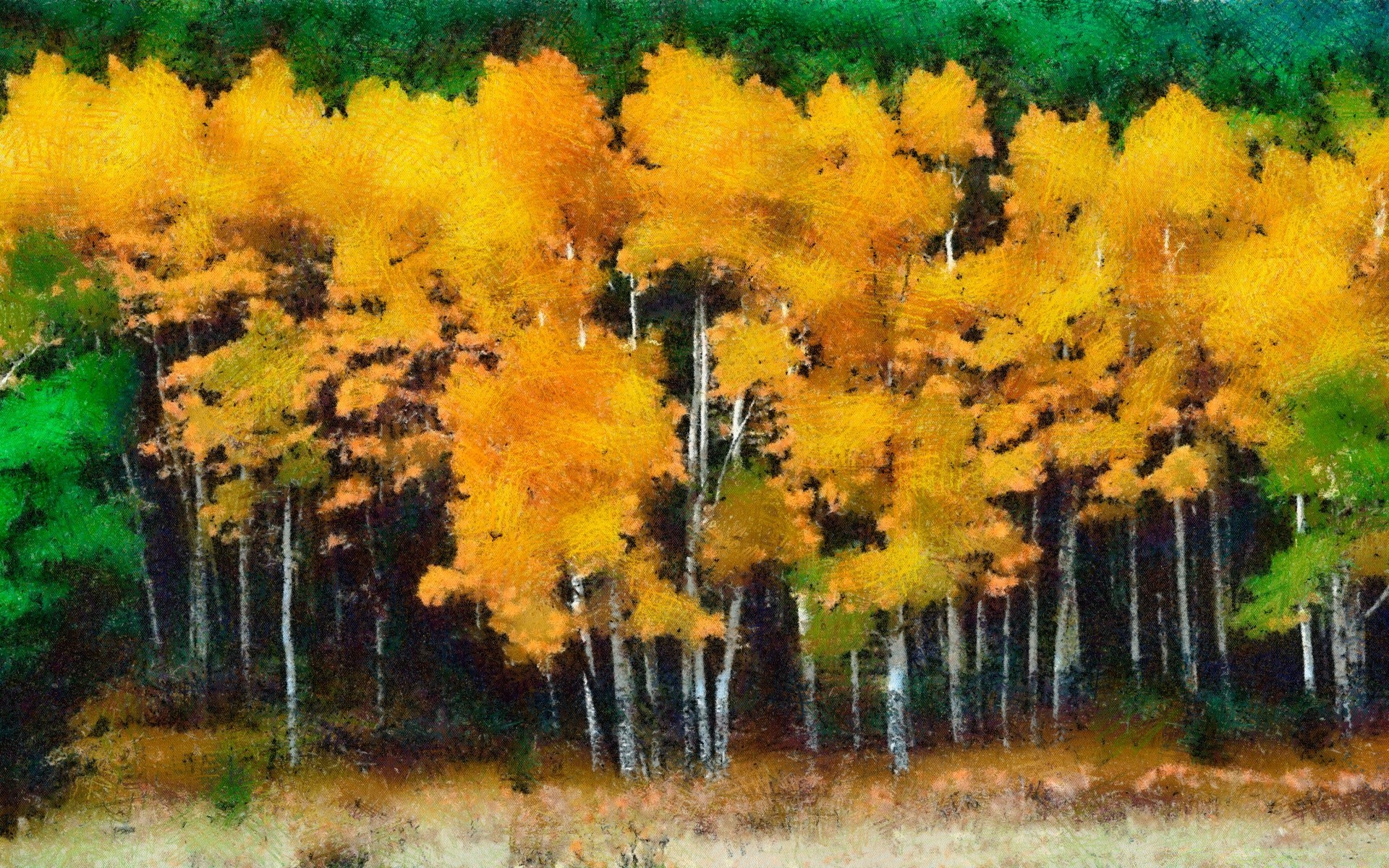 rysunki jesień drzewo liść sezon natura krajobraz drewno flora na zewnątrz kolor park jasne złoto środowisko oddział sceniczny