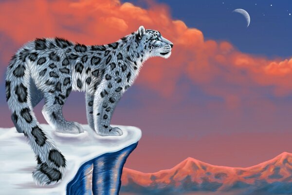 Leopardo de las Nieves Conquistador de las montañas