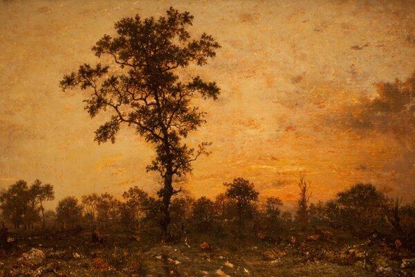 Paysage d automne avec arbre au coucher du soleil