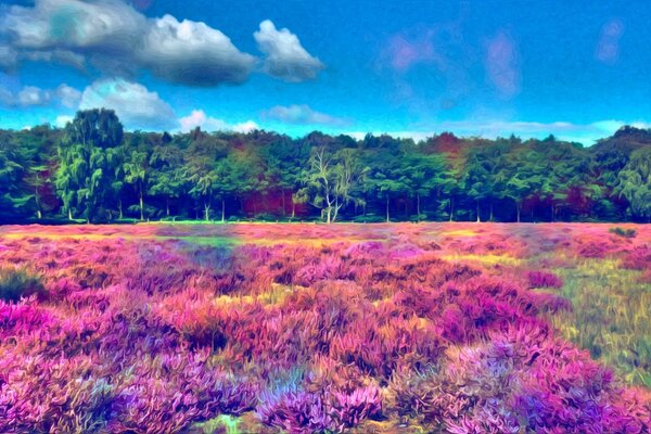 Landschaftsblume im Feld in der Natur