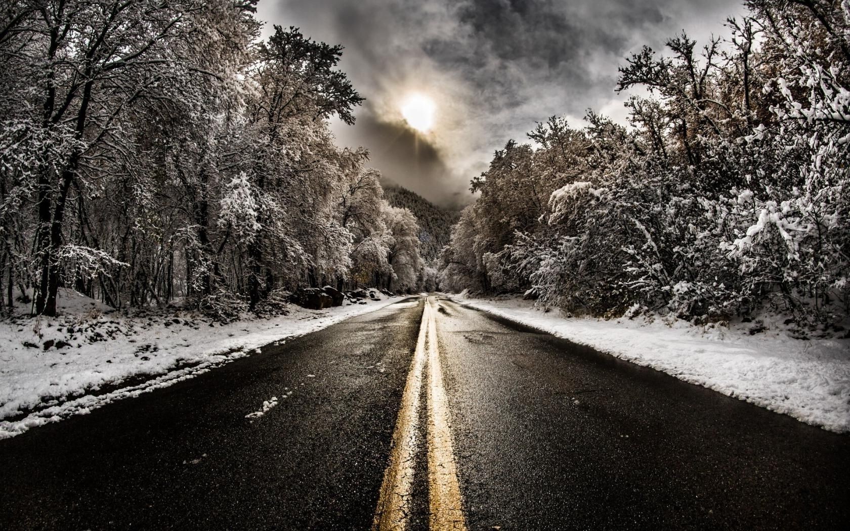 inverno strada albero guida paesaggio neve vicolo legno natura strada nebbia rurale monocromatico asfalto alba gelo stagione tempo parco