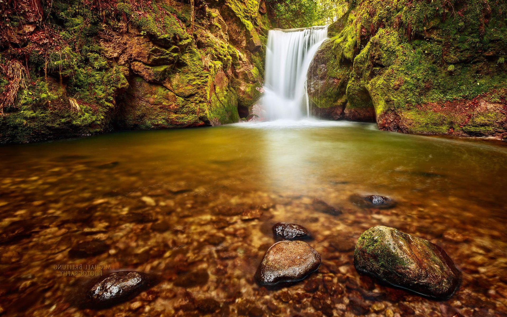 cascades eau cascade automne nature bois rock ruisseau rivière feuille à l extérieur ruisseau voyage cascade ruisseau arbre paysage humide mousse parc