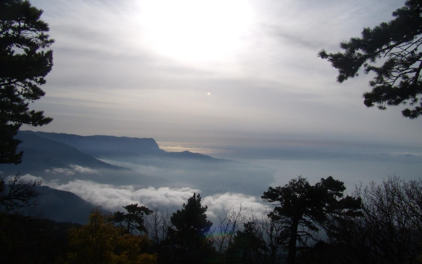 landschaft baum nebel natur im freien dämmerung landschaft himmel sonnenuntergang nebel sonne holz reisen am abend berge licht