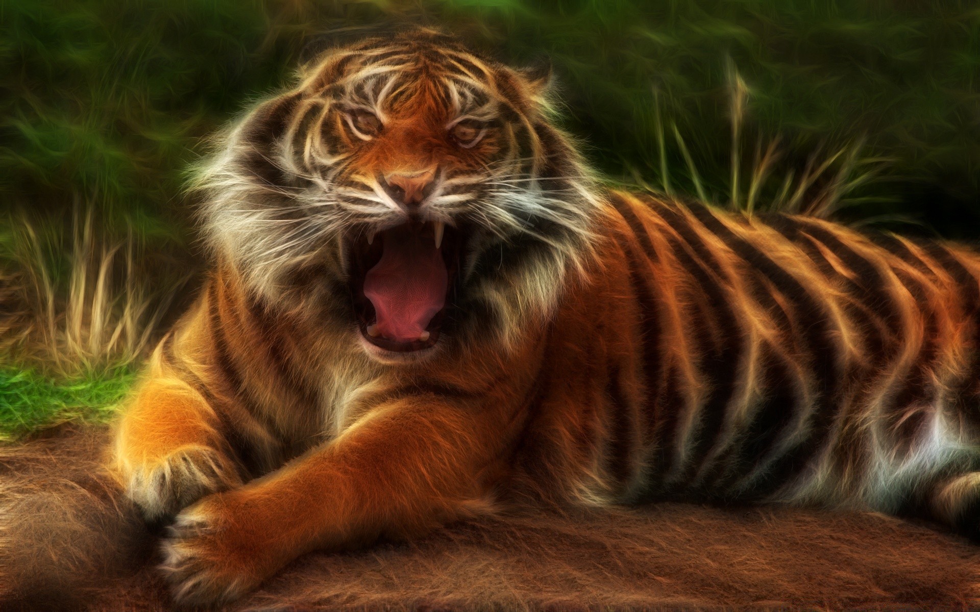 desenhos gato mamífero animal vida selvagem jardim zoológico pele retrato tigre predador natureza caçador fofa