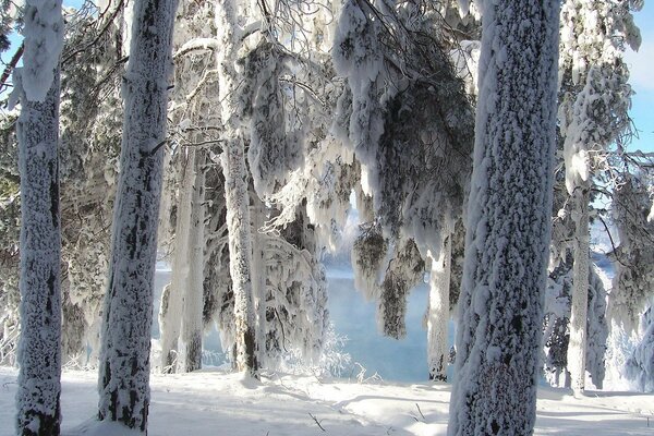 Tiefer Winter und sonniger Tag