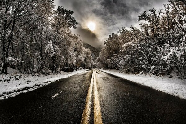 Paisaje camino bosque invierno