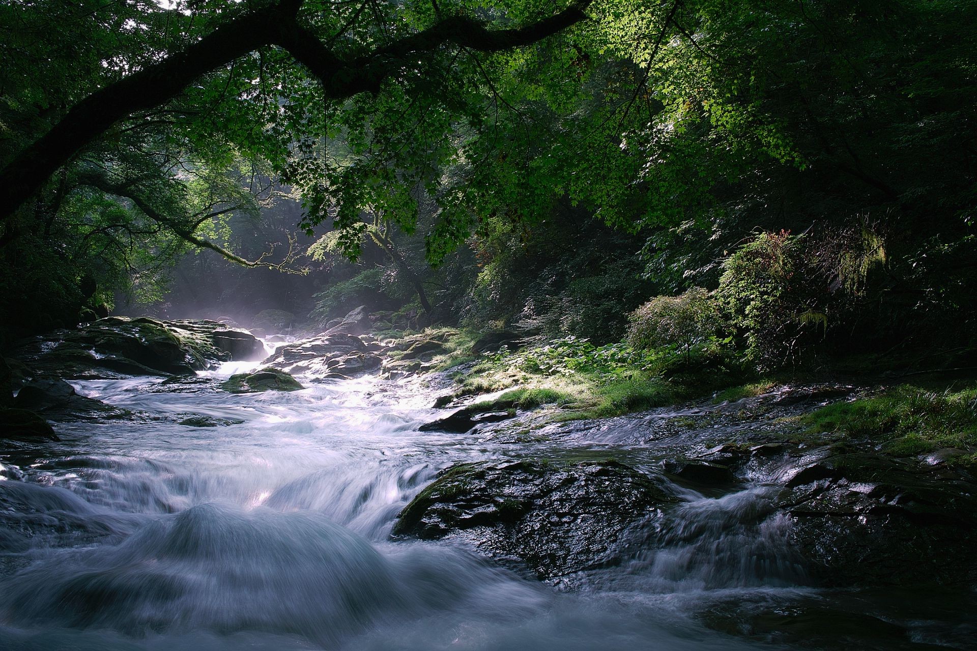 rzeki stawy i strumienie stawy i strumienie wody rzeka wodospad natura krajobraz drewno strumień drzewo na zewnątrz podróże jesień deszcz mech rock liść przepływ ruch