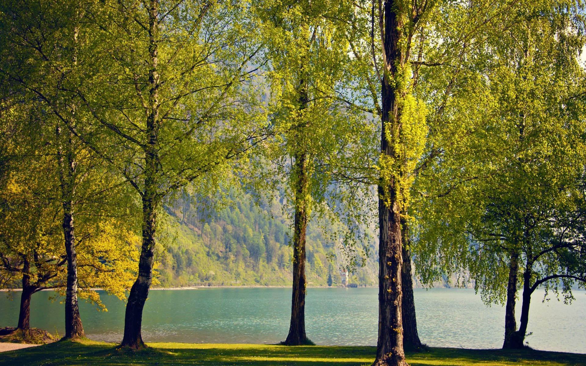 lieux célèbres arbre paysage automne feuille parc bois nature scénique saison aube paysages beau temps à l extérieur branche scène environnement lumineux campagne soleil