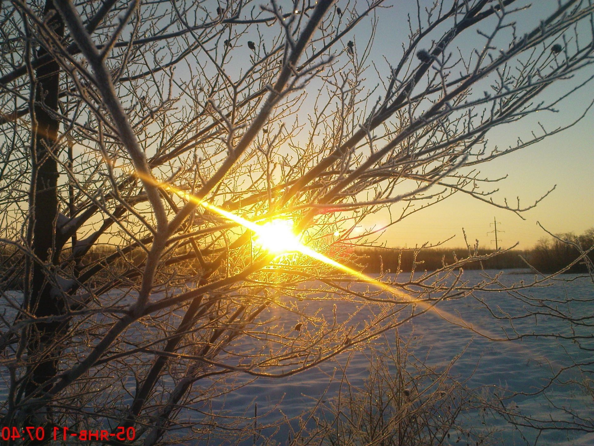 inverno alba sole natura bel tempo luminoso albero tramonto all aperto legno sera neve autunno freddo tempo paesaggio luce cielo gelo