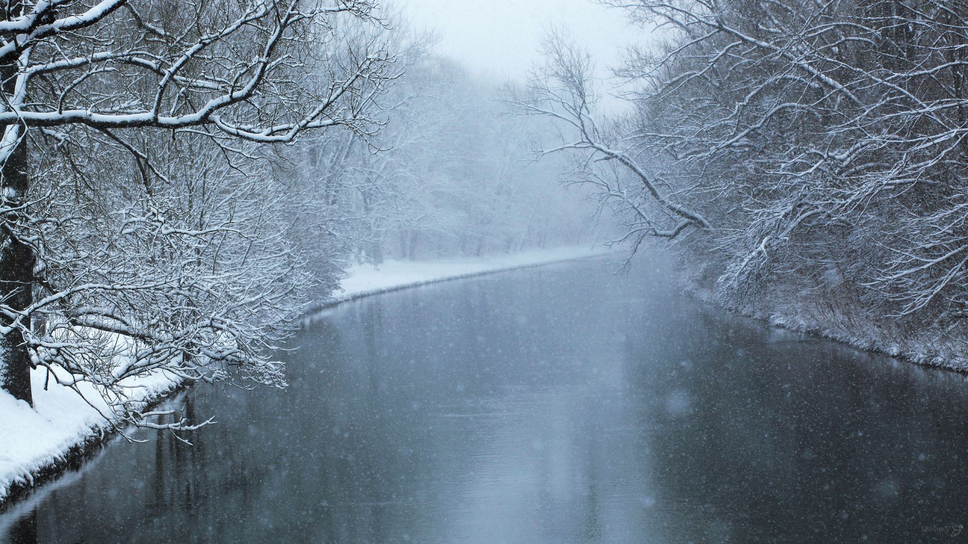 fiumi stagni e torrenti stagni e torrenti inverno neve nebbia meteo gelo nebbia freddo paesaggio congelato albero natura ghiaccio legno stagione all aperto acqua tempesta desktop