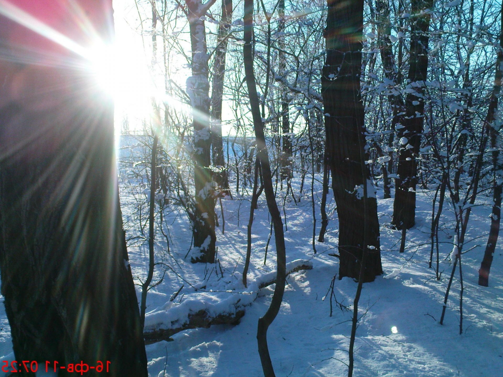 winter schnee holz natur kalt frost gutes wetter dämmerung nebel im freien baum herbst jahreszeit wetter hell nebel landschaft licht sanbim