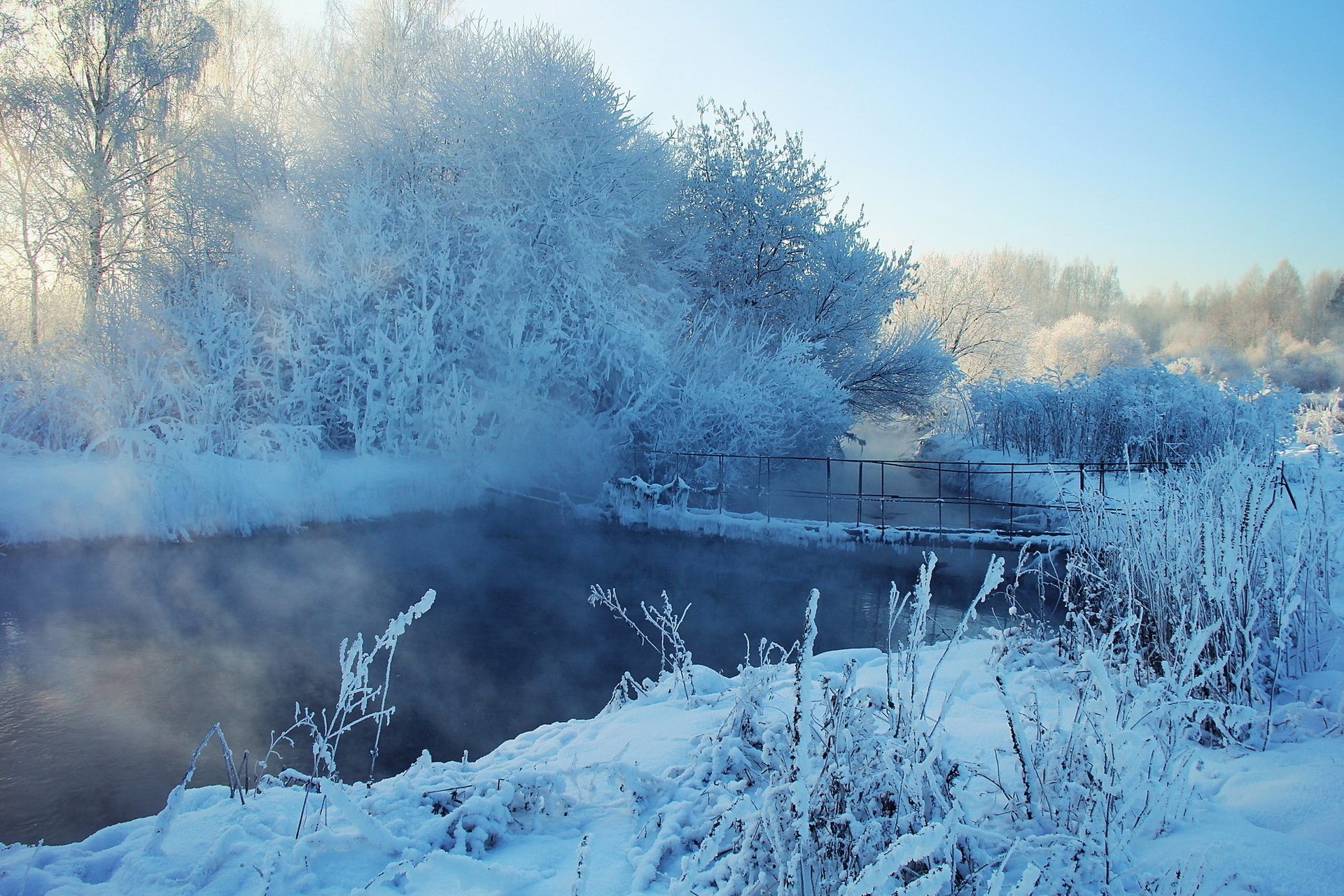 rivières étangs et ruisseaux étangs et ruisseaux hiver neige froid gel glace congelé paysage brouillard météo bois bois givré aube brouillard nature scénique saison