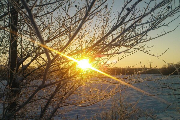 Sonnige Dämmerung Winter Natur