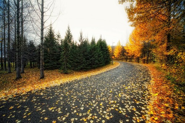 Herbstzeit, Augenzauber