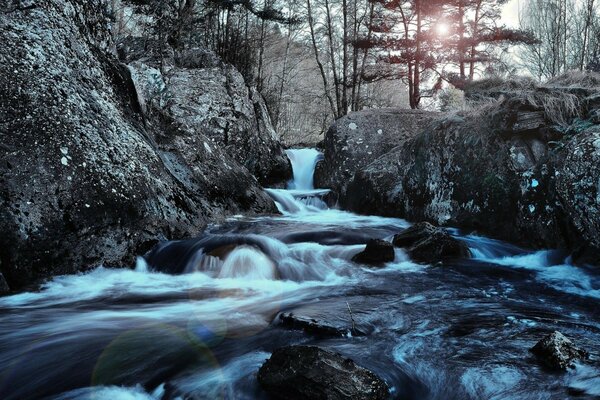 Speeches and a waterfall in the forest