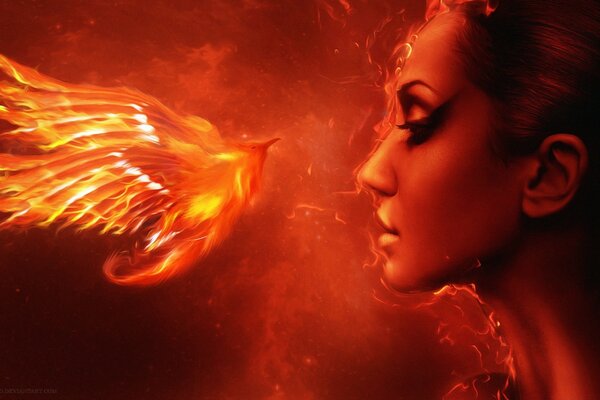 The fiery phoenix and the girl