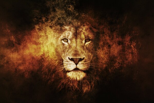 The King of Beasts, His Majesty the Lion