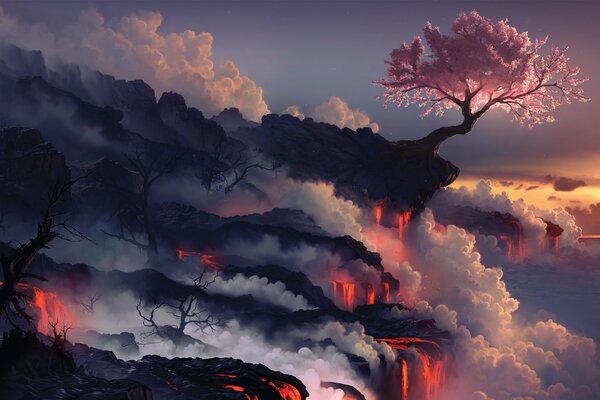 Cherry blossoms on the background of evening misty mountains