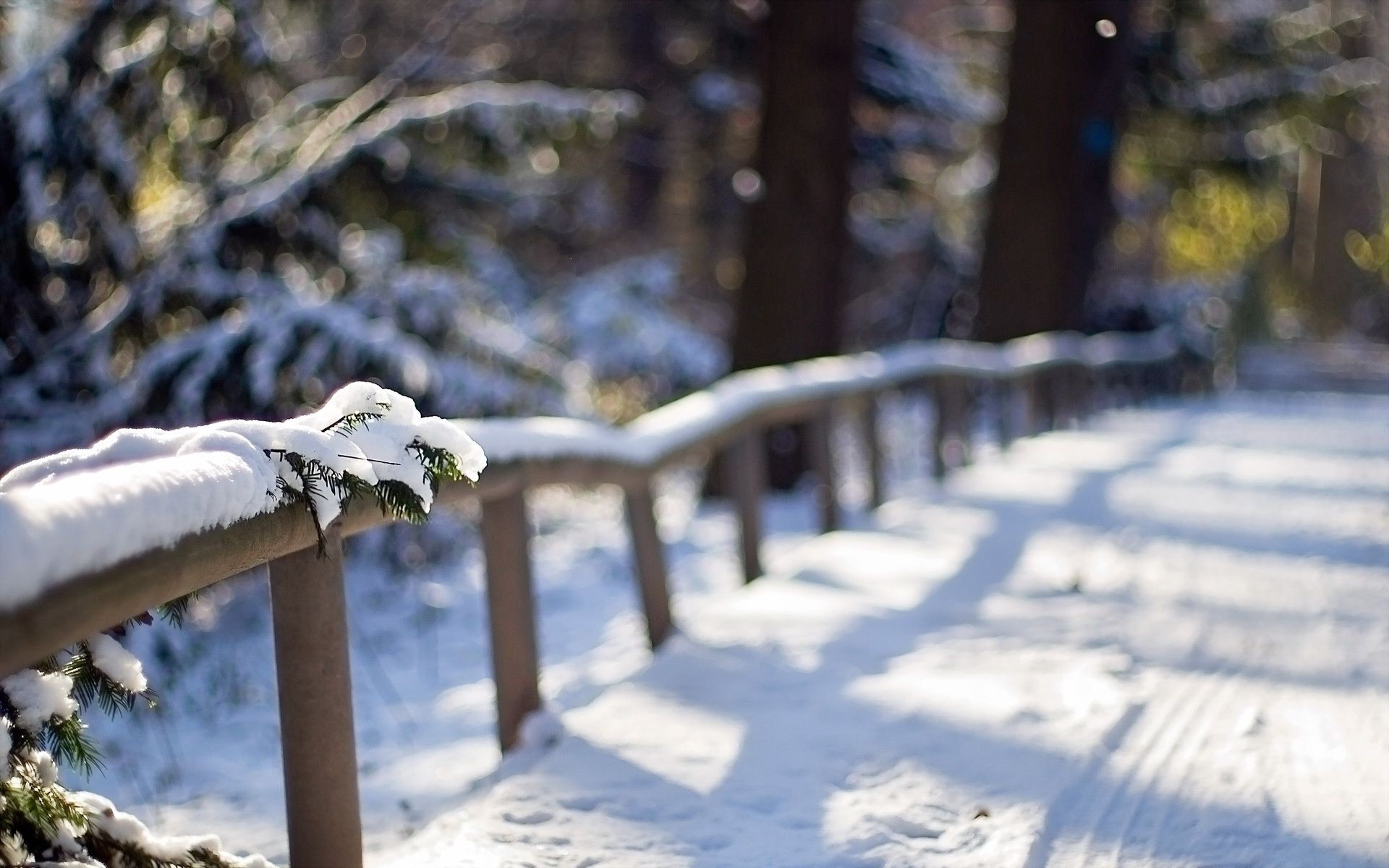 winter schnee kälte natur holz im freien holz landschaft eis reisen frost herbst saison park