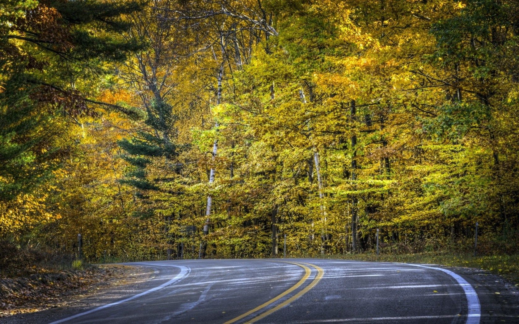 route automne arbre bois feuille manuel paysage nature à l extérieur ruelle scénique parc asphalte campagne autoroute saison environnement rural perspective