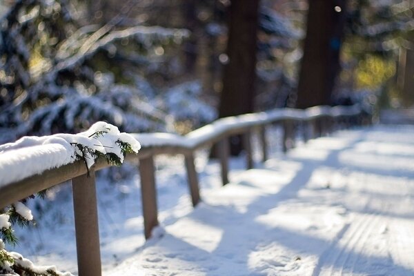 A snow-covered path outside the city, which is used by many passers-by and cars