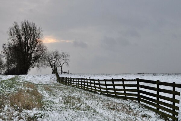 Winter gray trees field fence sky frost