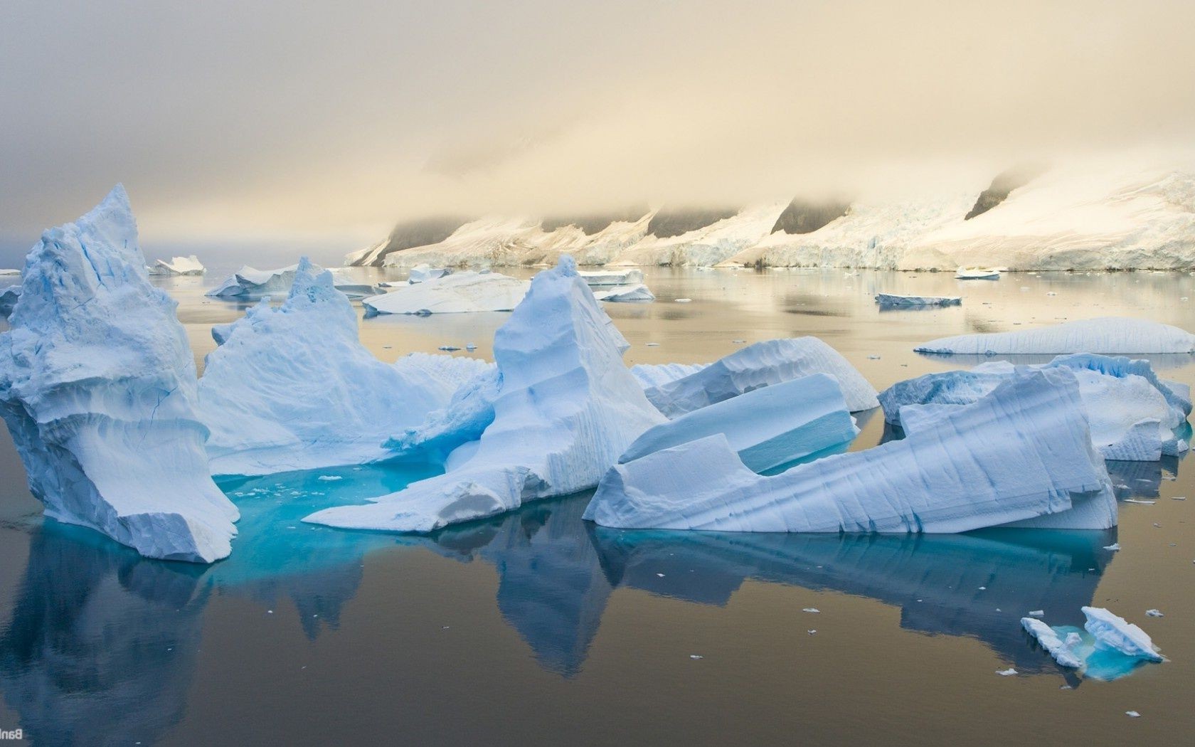 lake iceberg frosty ice water swimming travel climate change melting snow glacier cold ocean winter sea greenland