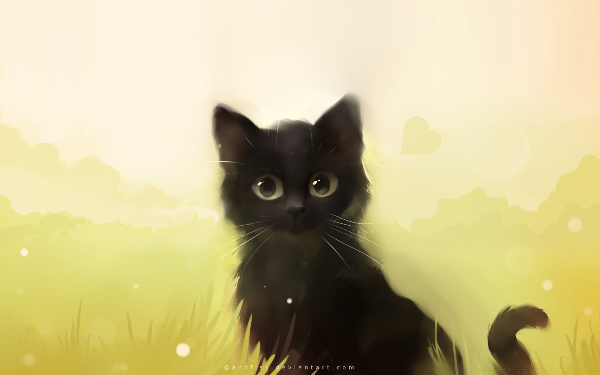 fantasy chat mignon animal animal oeil portrait chaton mammifère fourrure