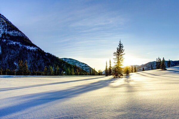 Snow-covered mountain spaces with rare fir trees