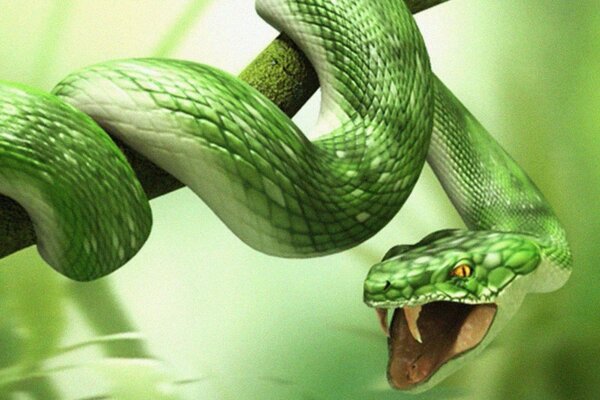 A green snake with long venomous fangs