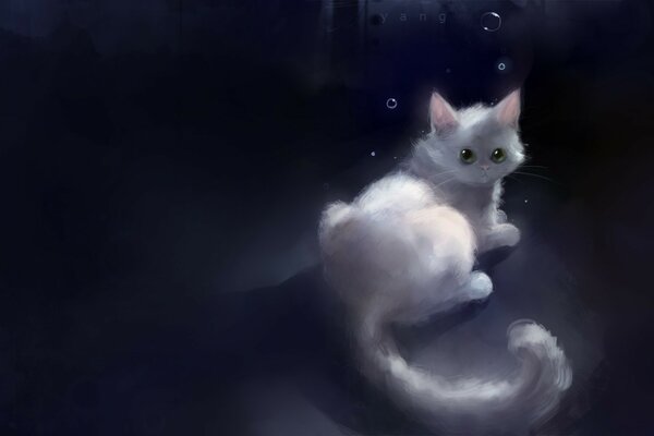 Gatito blanco sobre fondo oscuro